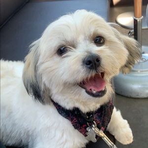 Meet your Posher, Anthony